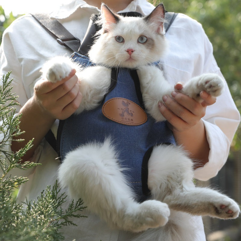 Portable cat backpack for spring outing