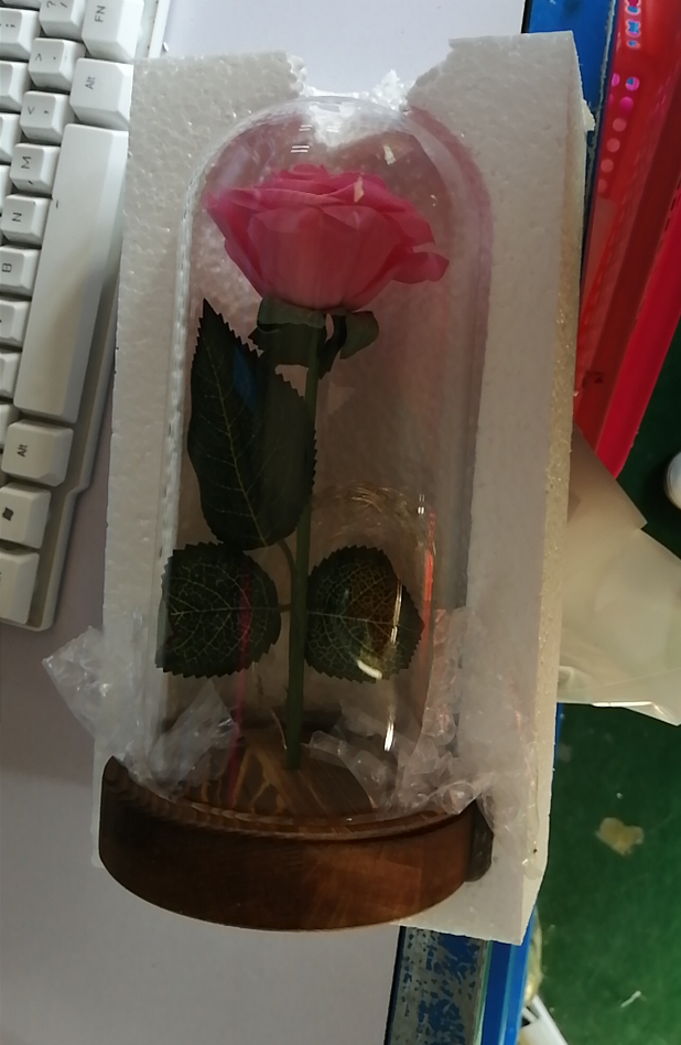 Regalo del Día de la Madre Enchanted Forever Rose Flower en vidrio LED Luz Decoración del hogar