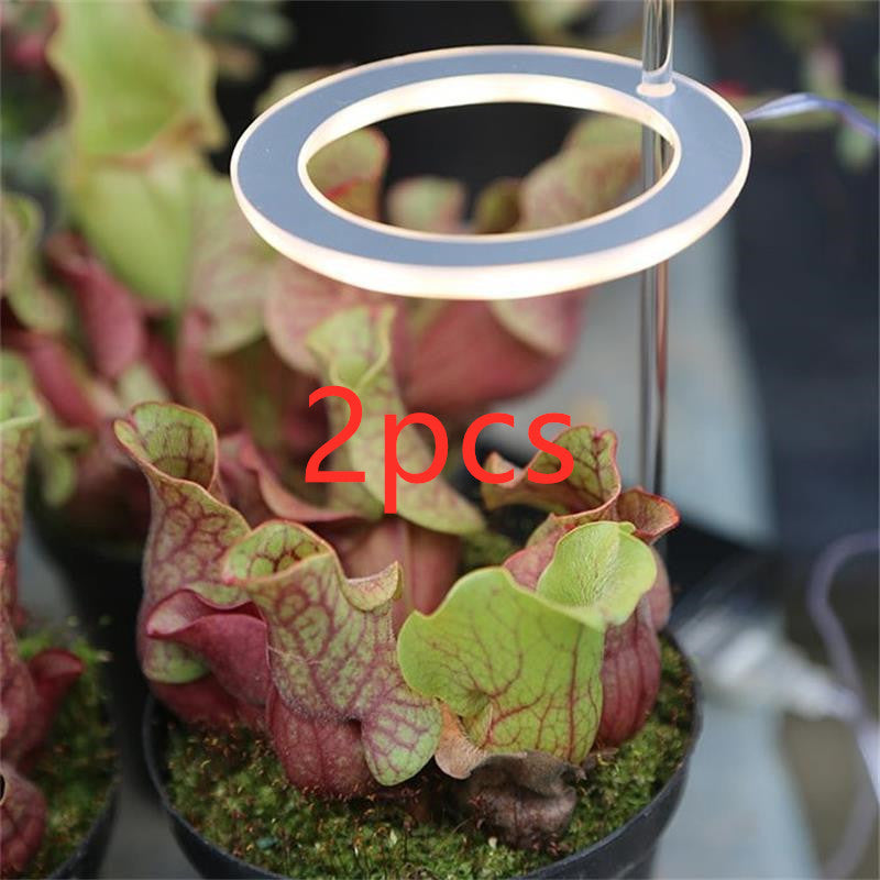 Luz LED de cultivo de espectro completo, lámpara de cultivo Phyto, lámpara USB Phyto para iluminación de crecimiento de plantas para plantas de interior