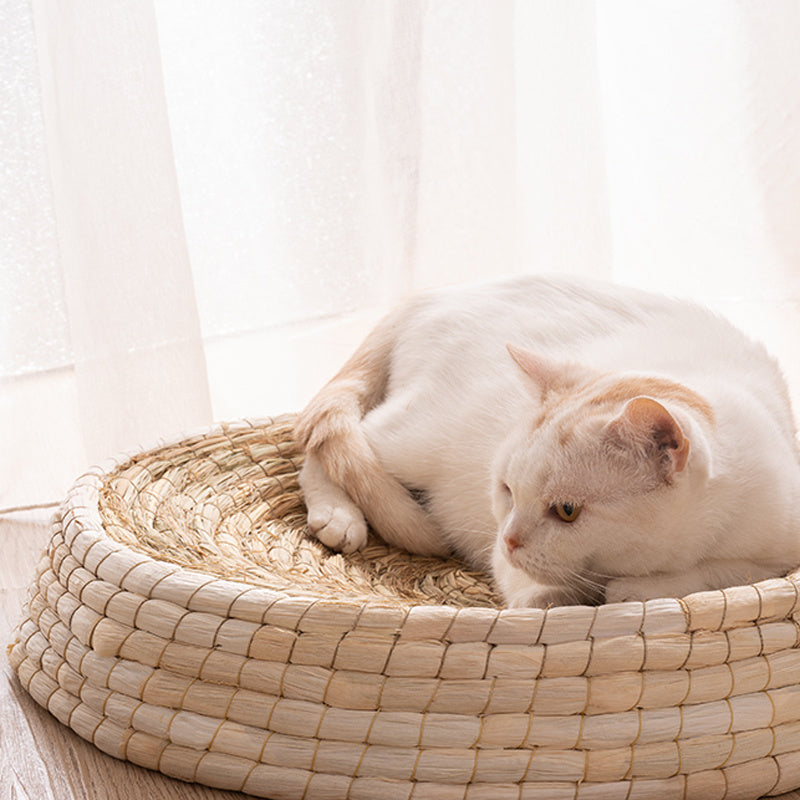 Teng Wok Felt House Cat Bed