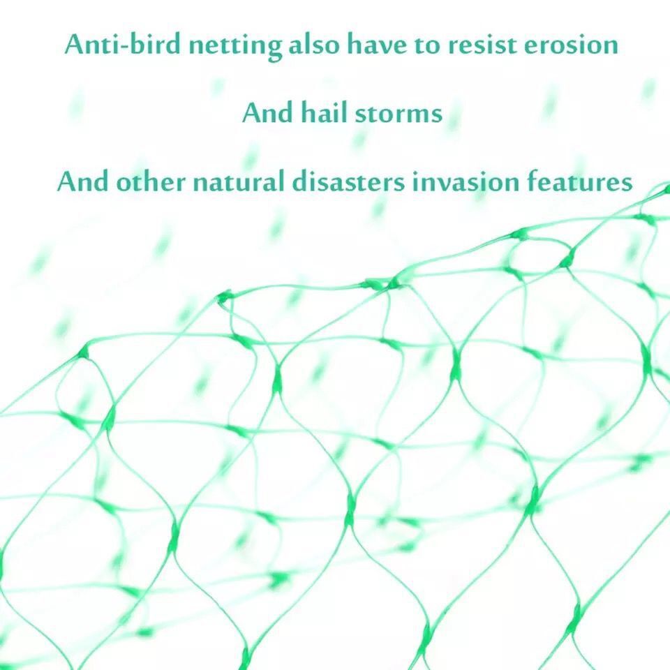 Durable Green Garden Bird Net Plastic Net