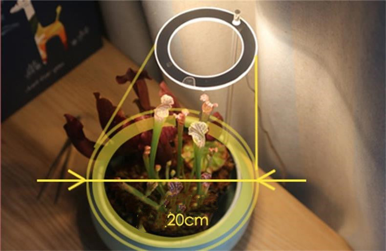 Luz LED de cultivo de espectro completo, lámpara de cultivo Phyto, lámpara USB Phyto para iluminación de crecimiento de plantas para plantas de interior