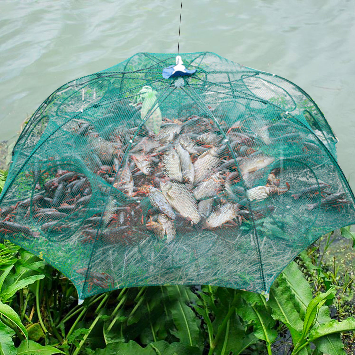 Red de pesca automática reforzada con 4-20 agujeros, jaula para camarones, trampa plegable de nailon para peces, red fundida, trampa plegable para cangrejos, red de pesca