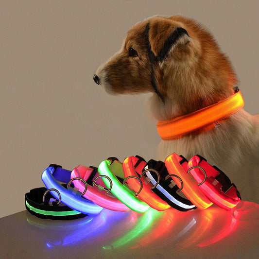 Collar LED de seguridad para perros