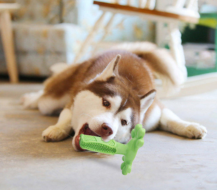 狗狗磨牙玩具大型犬刷牙神器宠物用品