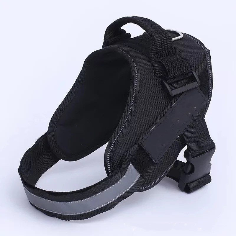 Dog Harness