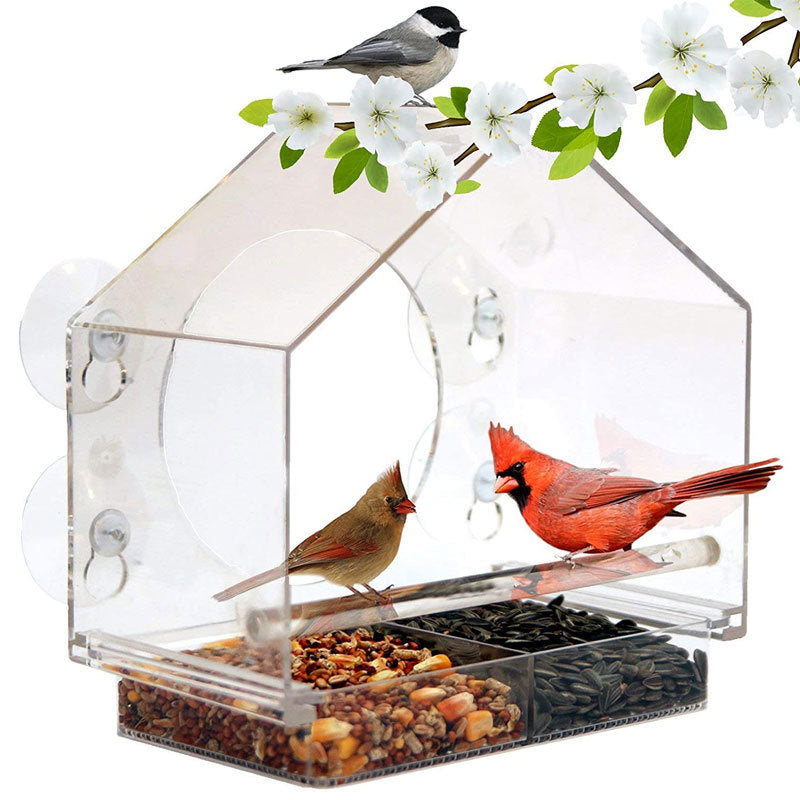 Bird Feeder Camera Live Bird Feeder Cam Bird Buddy Smart Bird Feeder With Camera