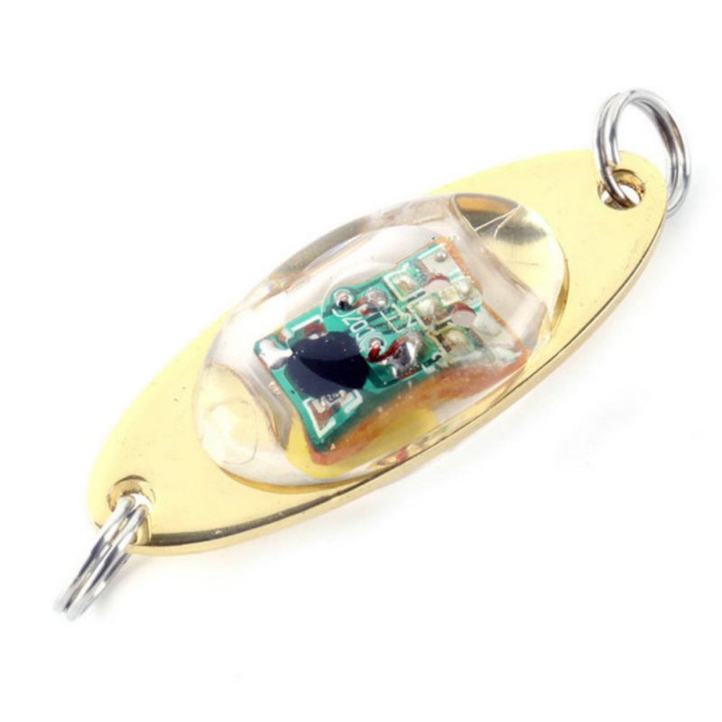 Button Battery Fish Lure Lamp Electronic Luminous Lure Fishing Lure