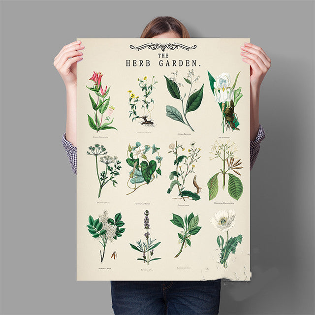 Vintage Herb Garden Botanical Education Poster Wall Art Print