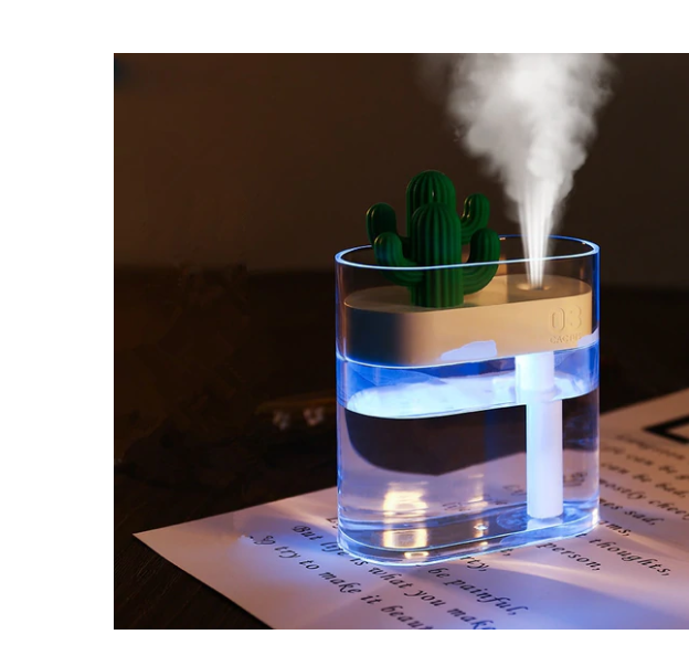 Humidificador portátil de cactus de paisaje transparente