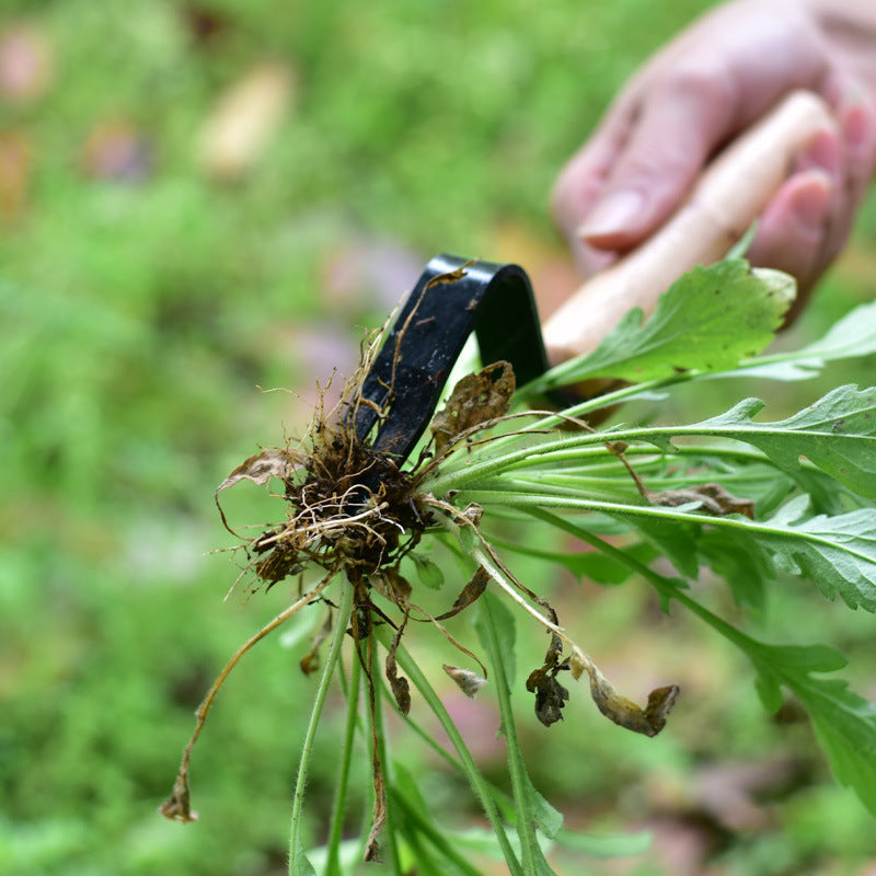 Dispositivo de enraizamiento de plántulas y desmalezado de herramientas de jardín